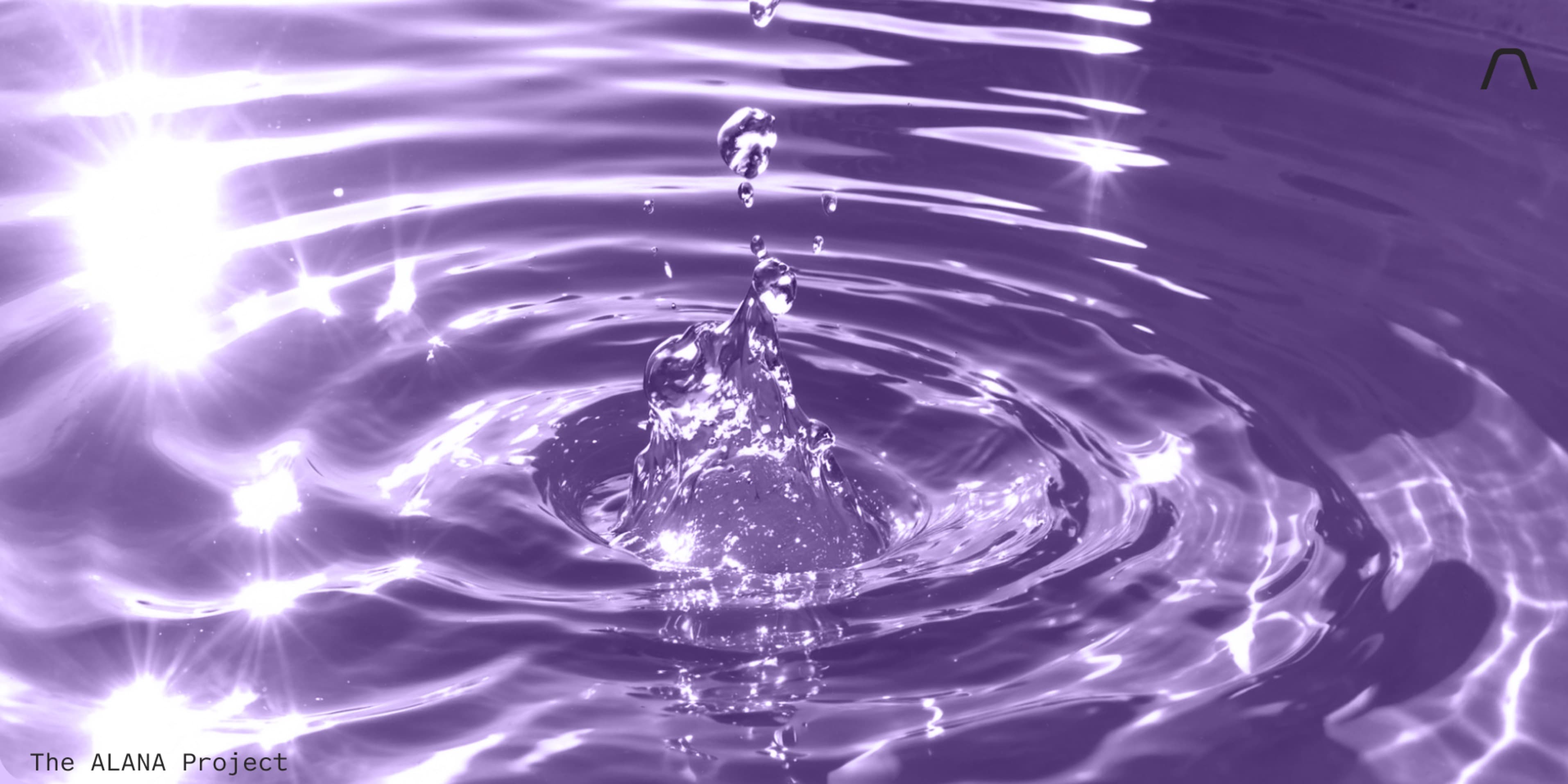 Discover card cover image